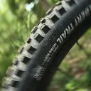 Schwalbe_albert_radial_finale_15.webp