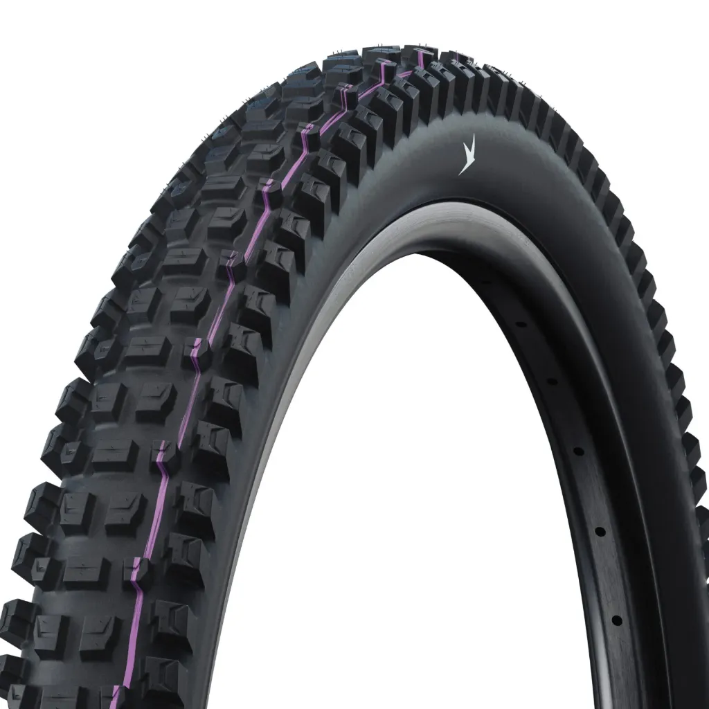 Schwalbe Albert Radial Tire