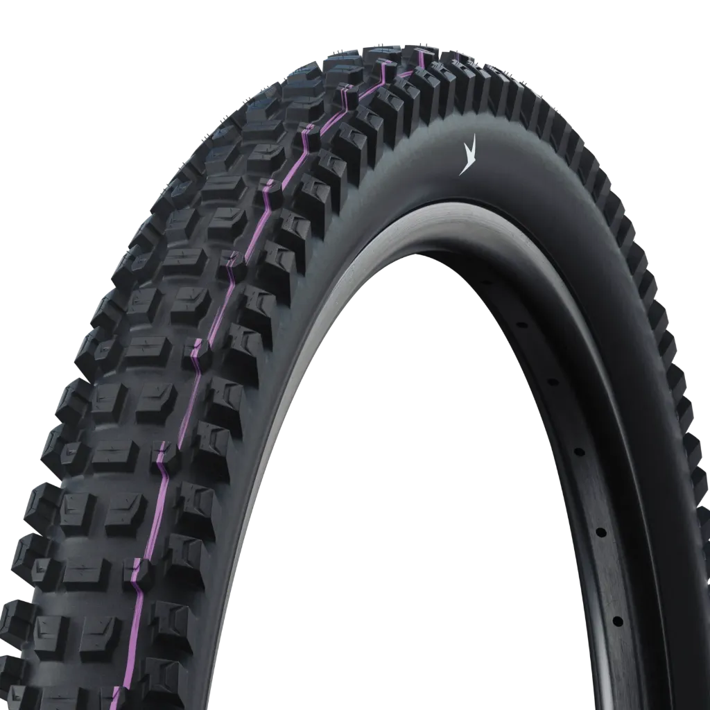 [ST-11654589] Schwalbe Albert Radial Tire (29" × 2.5", Gravity PRO, TLR, Soft)