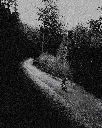 Carter N x NOBL FAR-34.webp